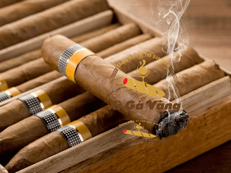 Cigar Cuba nổi tiếng được ra đời vào năm 1960