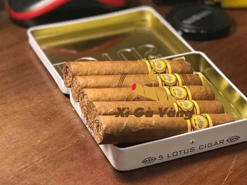 Xì Gà Vang cung cấp cigar chính hãng với mức giá tốt