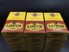 cigar Lotus 10 short