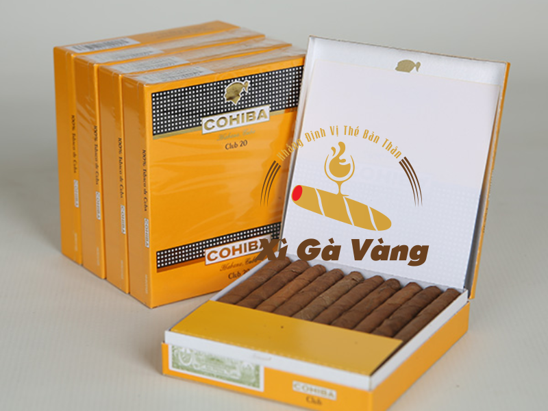 mua-cohiba-mini-o-dau xì gà mini Cohiba