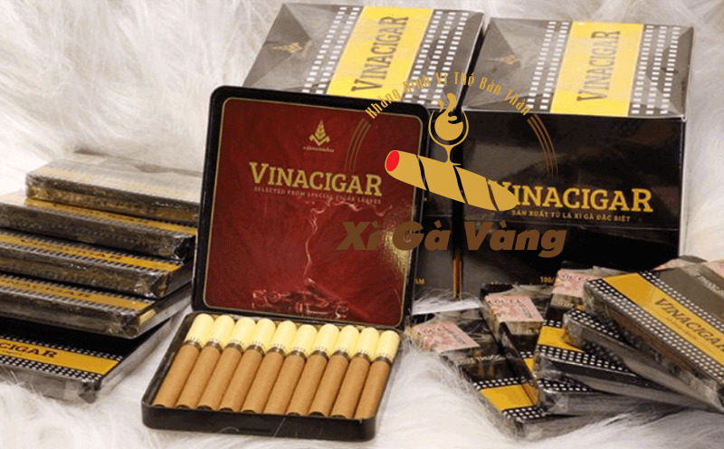 Xì Gà Vàng - Nơi cung cấp xì gà chính hãng có mức giá phải chăng