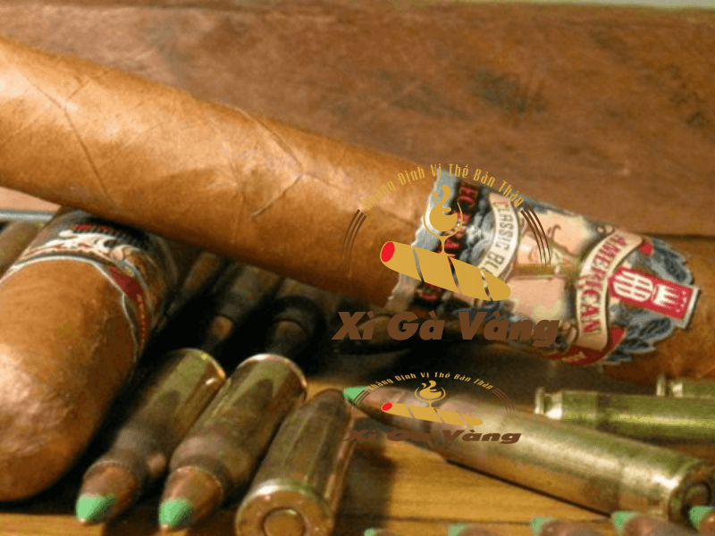 Trải nghiệm cigar Honduras giá tốt tại Xì Gà Vàng ngay