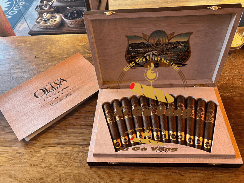 Hộp cigar Oliva 135 sang trọng, quý hiếm