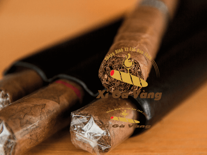 Hương vị cigar phụ thuộc vào cảm nhận của người sử dụng