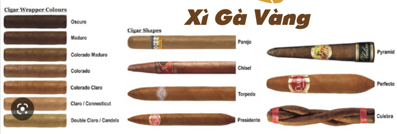 Mỗi loại xì gà đều có điểm đặc biệt riêng
