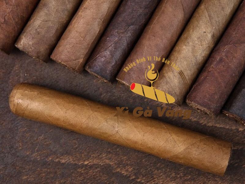 Giá cigar có thể chênh lệch tùy theo nhà bán