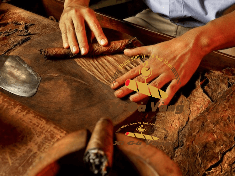 quy-trinh-san-xuat Điếu xì gà Lotus No2