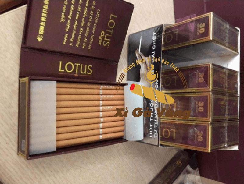 Thông tin về Cigar Lotus loại 30 điếu
