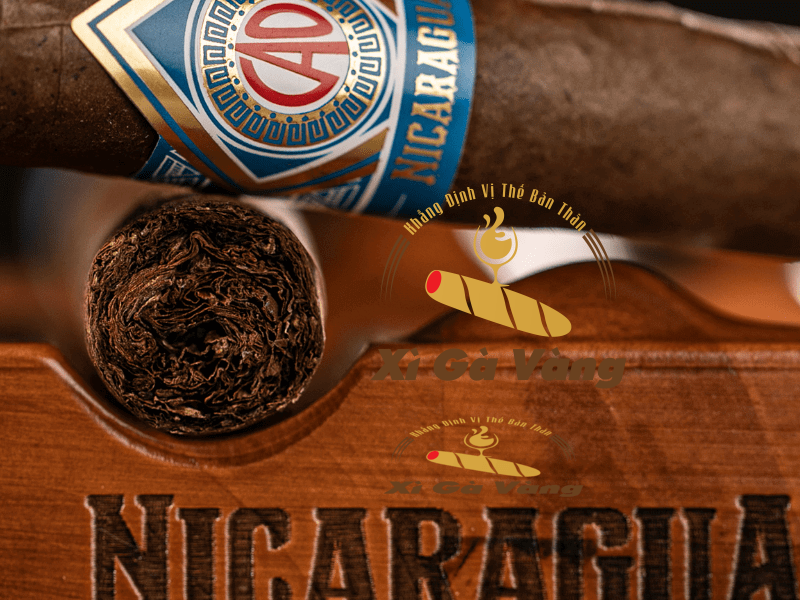 Điếu Cigar Nicaragua được nhiều dân chơi yêu thích