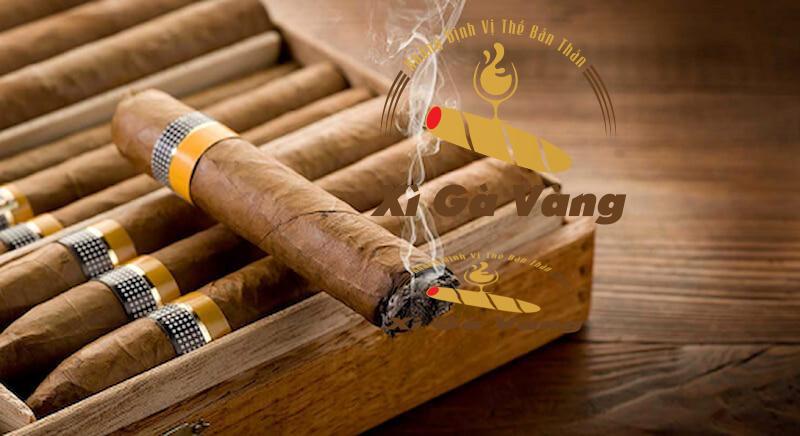 Tìm mua Cigar Hanos 56 chính hãng tại Xì Gà Vàng 