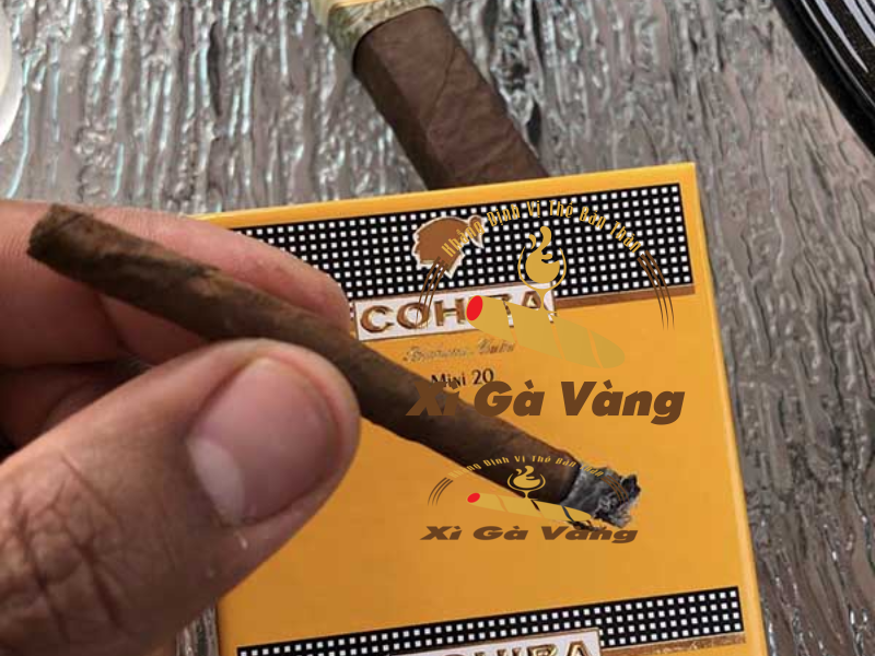 Mini Cohiba - xì gà cho mọi tầng lớp