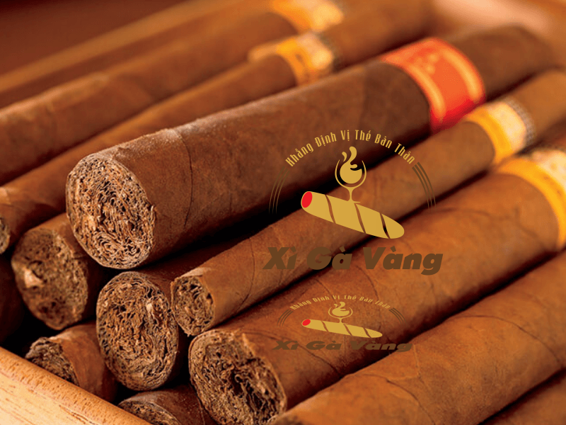 Cigar Cuba là loại cigar đẳng cấp trên thế giới
