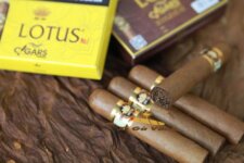 xì gà Lotus mini hộp sắt