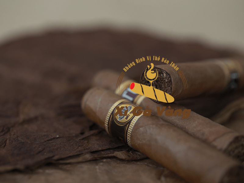 xi-ga-lotus-no2 lotus-no2