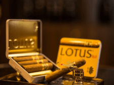 Cơ sở cung cấp xì gà tốt, chính hãng