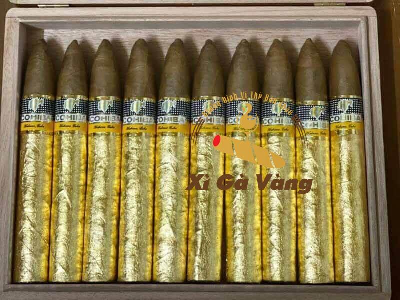 xi-ga-vang-cohiba-piramides-dat-vang cohiba piramides dát vàng