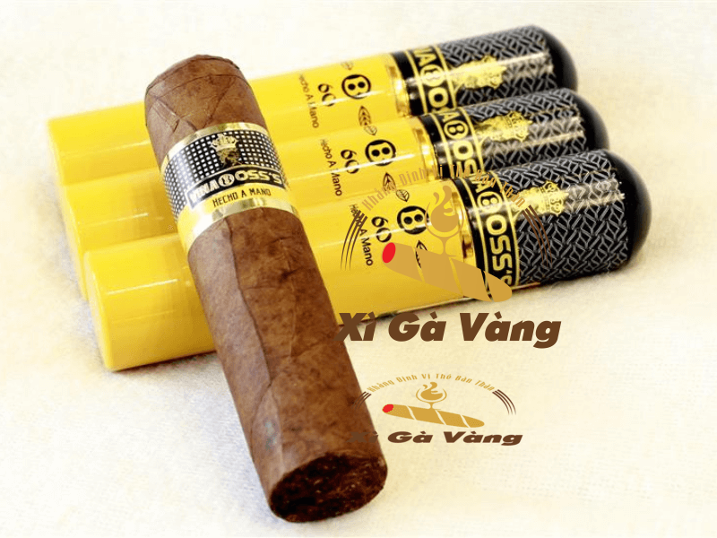 Xì gà Vinaboss 60 