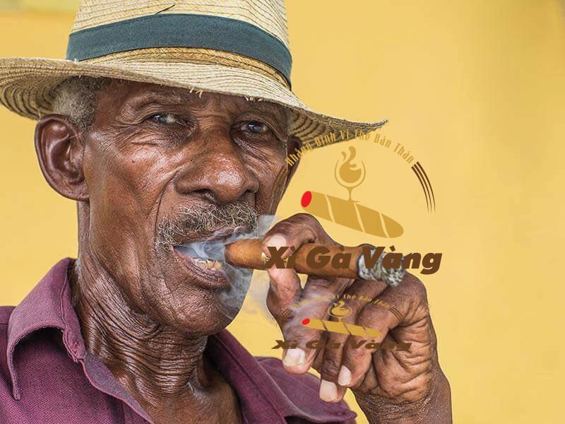 Cigar Cuba ngày càng đa dạng và phong phú hơn