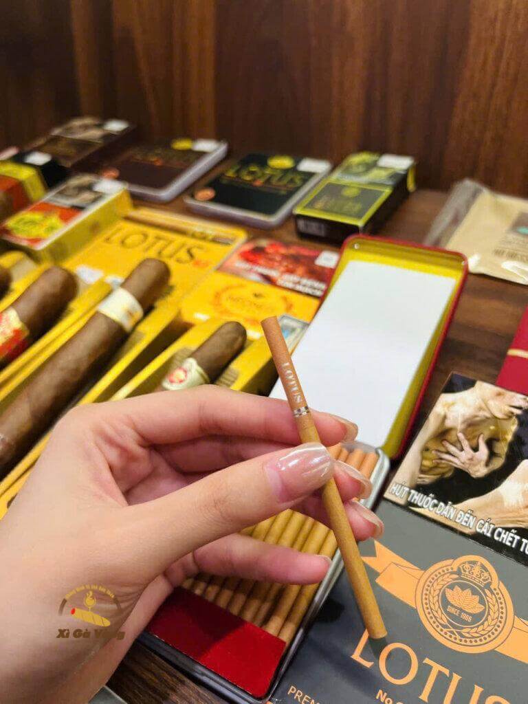 Hương vị thơm ngon từ Cigar Lotus 30 điếu