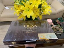 Cigar Oliva Serie V 135th