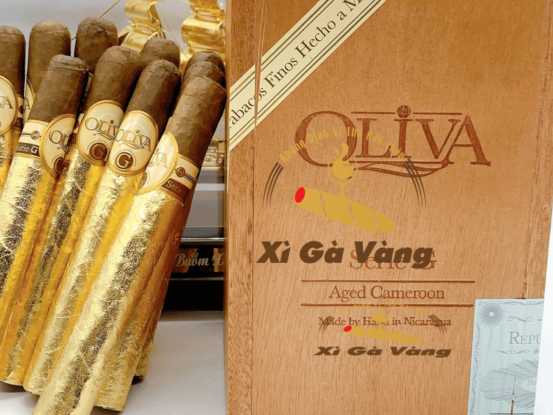 Sự đặc biệt đến quyến rũ của Oliva Serie G