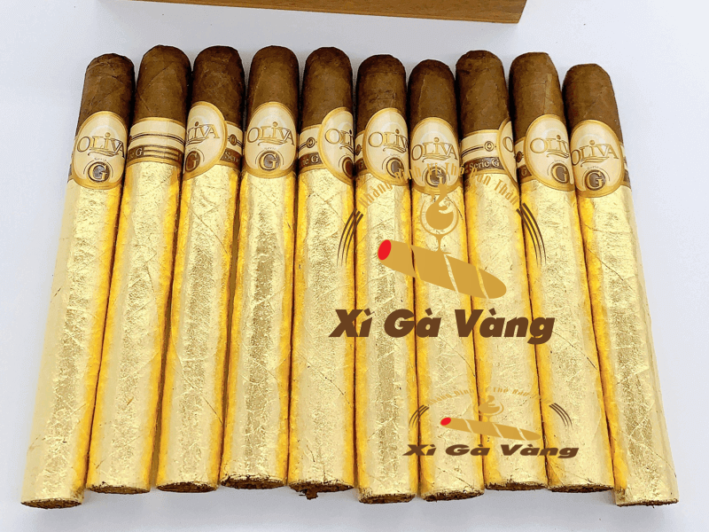 Oliva-Serie-G-la-cigar-cao-cap điếu xì gà oliva dát vàng