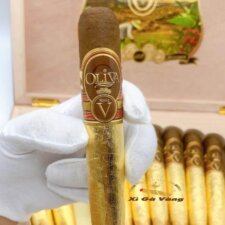 Cấu trúc đặc biệt của Oliva Series V 135th dát vàng