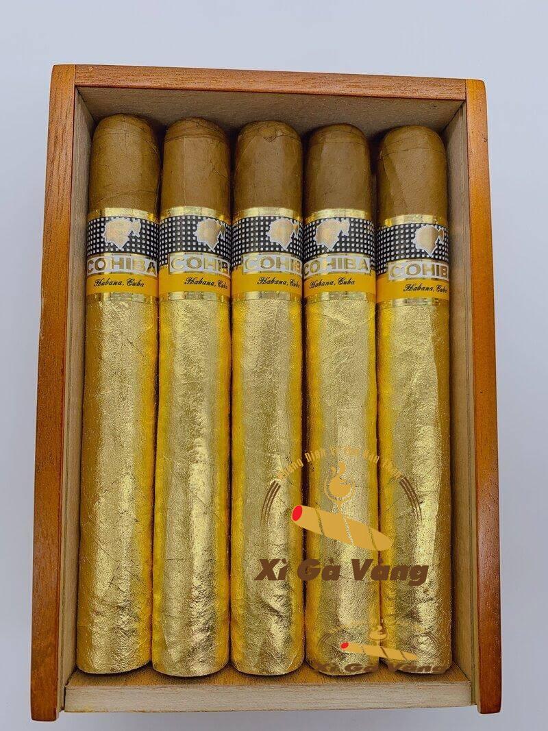 cohiba-siglo-6-diem khac-biet Cohiba siglo 6 có gì?