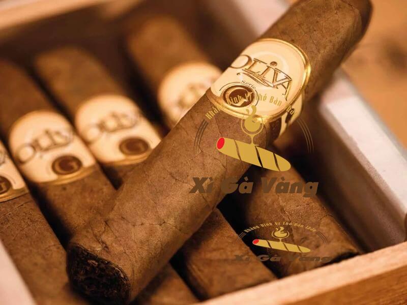 Điếu xì gà Oliva Serie G có cấu trúc hoàn hảo