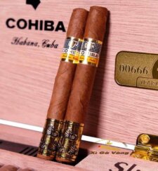 Hộp xì gà Cohiba 88 Short