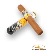 Hương vị Xì gà Siglo II Tubos như thế nào