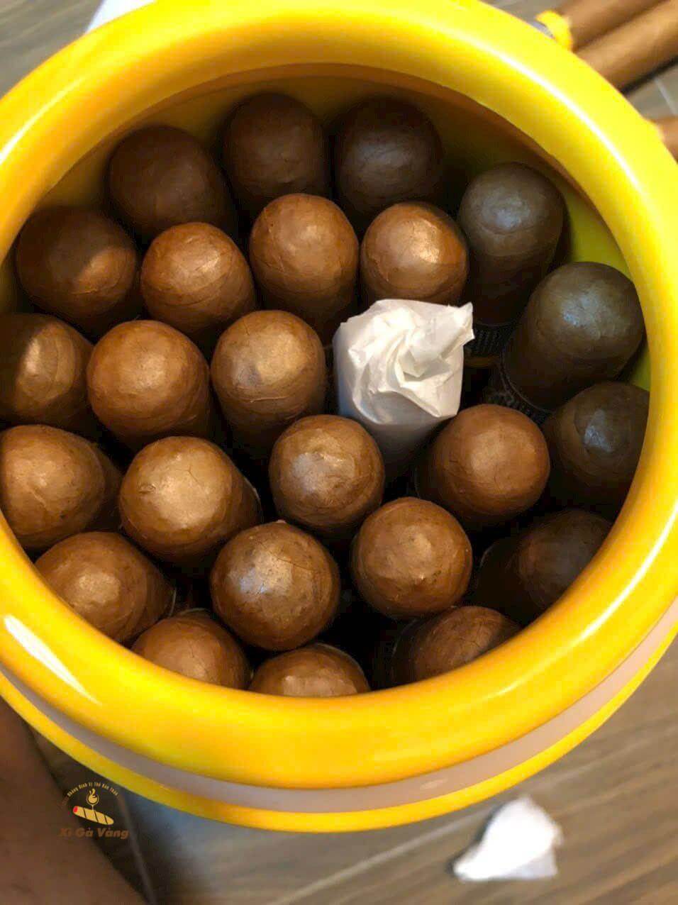 cohiba-siglo-6-hop-su Sản phẩm Xì gà Cohiba Siglo 6 hộp sứ 25 điếu