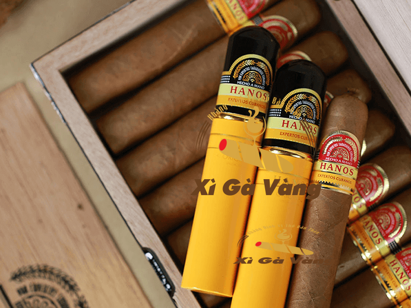 Xì Gà Việt là địa chỉ bán thuốc xì gà uy tín trên thị trường