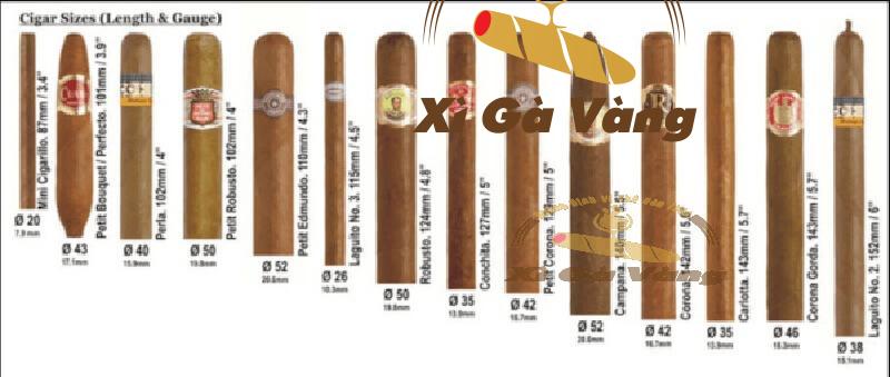 Một số kích thước vòng ring cigar phổ biến trên thị trường hiện nay