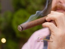 thưởng thức Davidoff Primeros Nicaragua Maduro