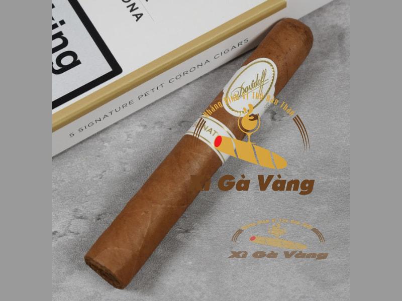 Davidoff-Signature-Petit-Corona-hop-5-dieu-1 ngoại hình thu hút của Davidoff Signature Petit Corona