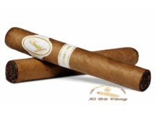 Kết cấu của xì gà Davidoff Signature Petit Corona