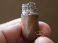 Hương vị khiến người trải nghiệm mê đắm ngay từ ban đầu