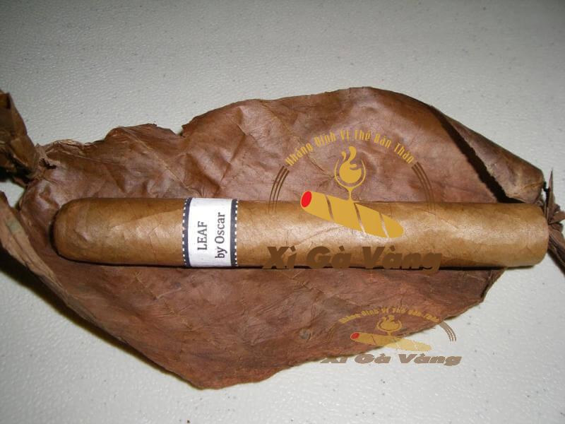 muc-gia-ban-xi-ga-leaf-by-oscar-lancero-connecticut-20-dieu Mức giá bán xì gà Leaf by Oscar Lancero Connecticut 20 điếu