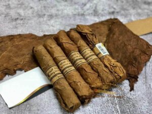 Mức giá của xì gà tại Xì Gà Vàng