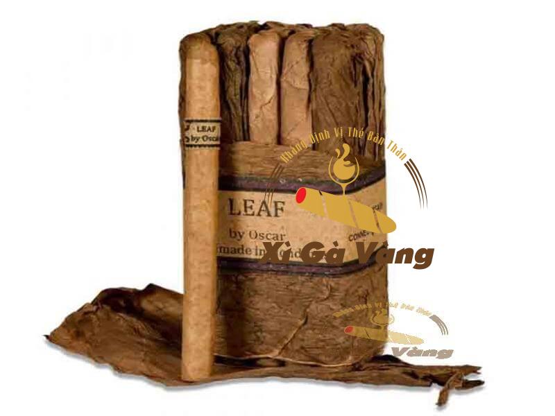 su-ra-doi-cua-dong-leaf-by-oscar-lancero-connecticut Leaf by Oscar Lancero Connecticut 20 điếu
