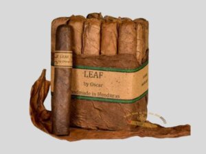 Tìm hiểu xuất xứ của Leaf by Oscar Gordo Maduro