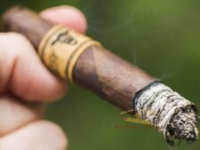 Trải nghiệm hương vị của Leaf by Oscar