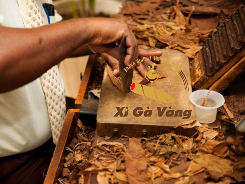 Maya-Selva-Honduras-August-56-xuat-xu-tai-Honduras Maya Selva Honduras August 56 xuất xứ tại Honduras