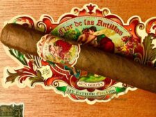 Hình thức sang trọng của điếu xì gà Flor De Las Antillas Toro