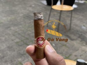 Đánh giá hương vị của Xì gà H. Upmann Half Corona