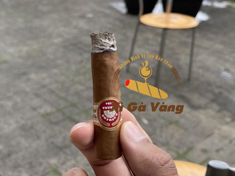 huong-vi-thom-ngon-cua-h-upmann-half-corona Đánh giá hương vị của Xì gà H. Upmann Half Corona