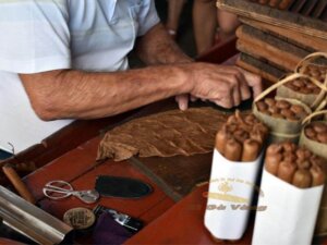 kết cấu điếu cigar Maya Selva August 54 Honduras