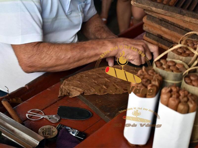 kết cấu điếu cigar Maya Selva August 54 Honduras