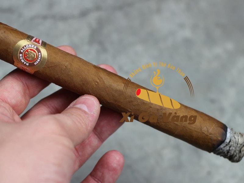 Đánh giá hương vị của xì gà Ramon Allones Gigantes